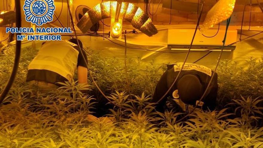 Cae un grupo de narcos en Córdoba que traficaba con marihuana y cocaína