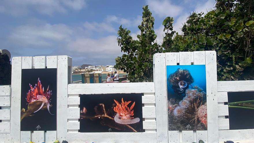 Exposición La Graciosa bajo el mar