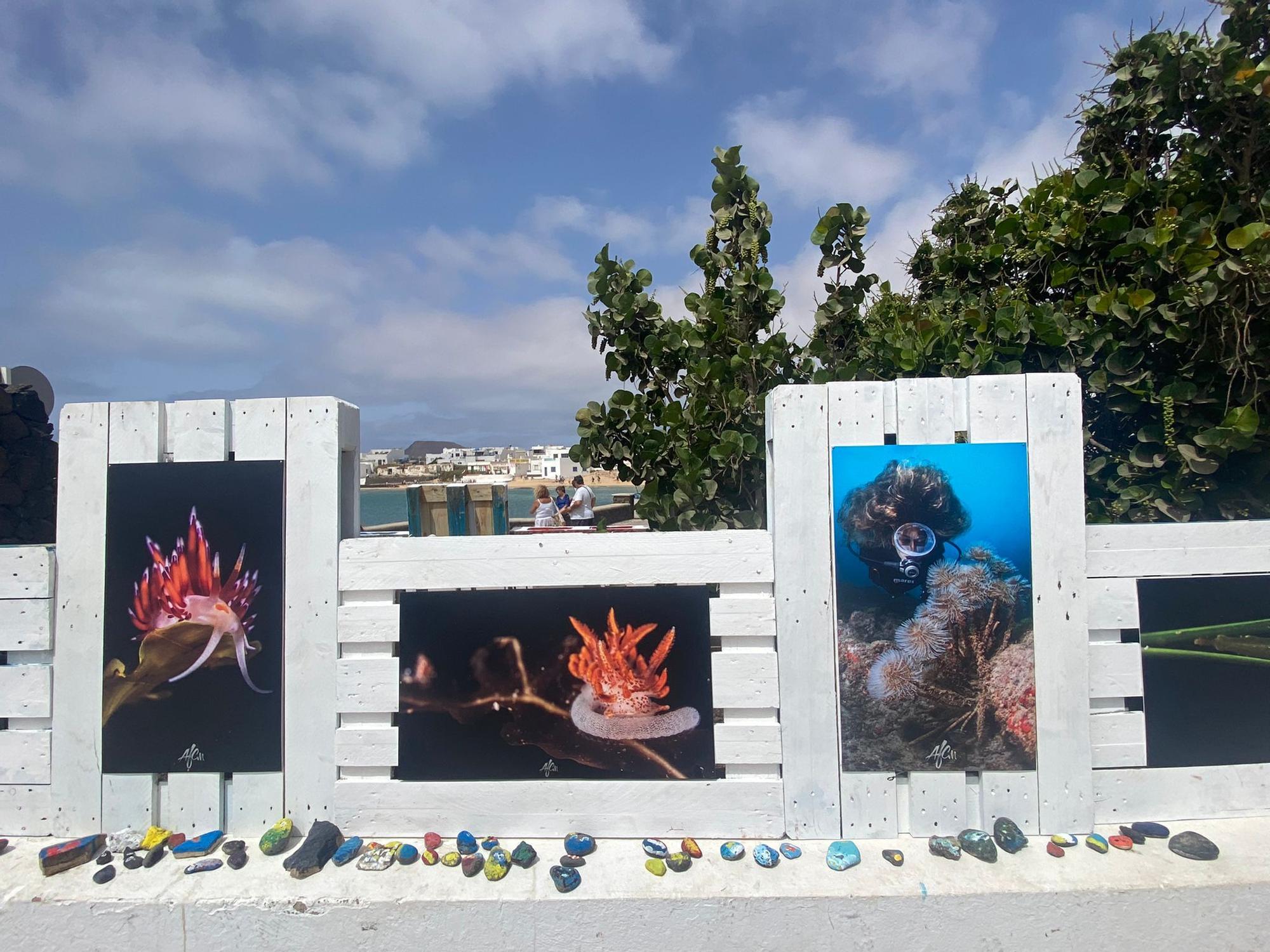 Exposición La Graciosa bajo el mar