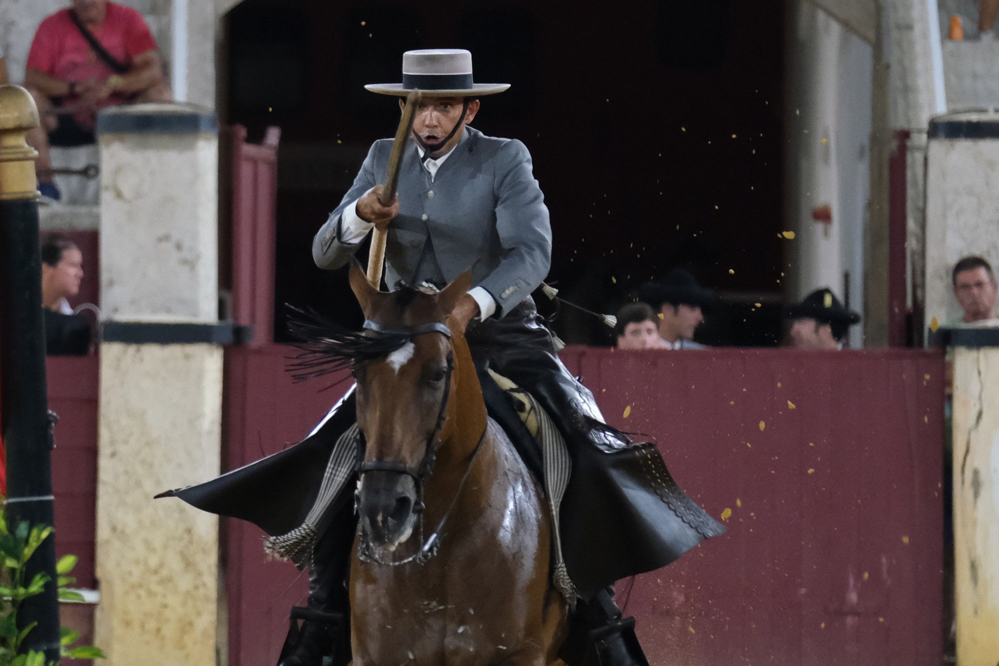 Los caballos andaluces bailan sobre el albero de La Malagueta