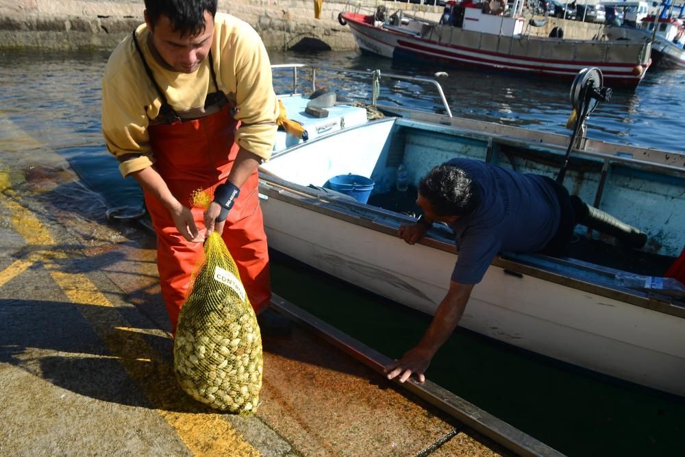 Rodeira salva el primer día del marisqueo a flote