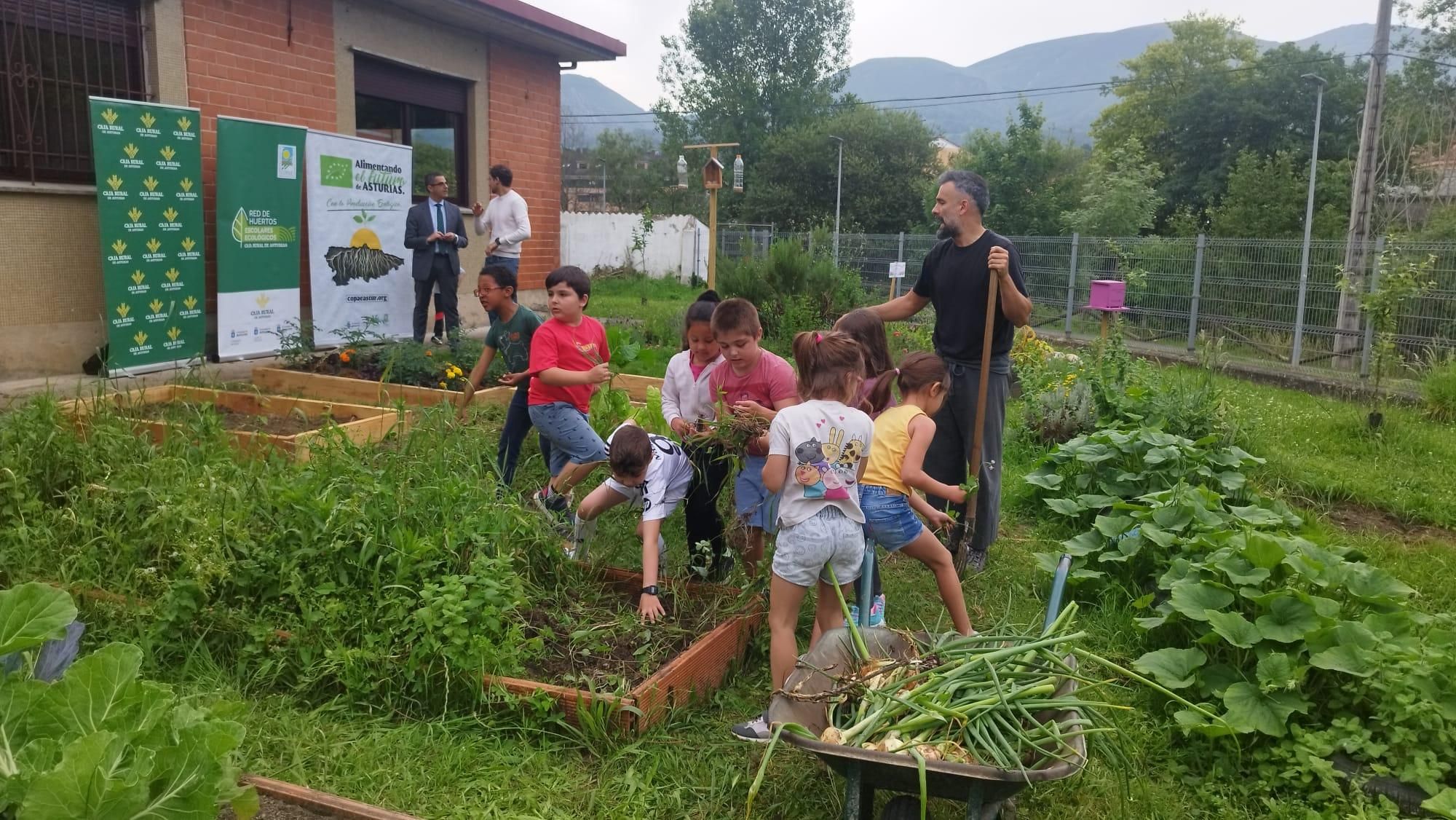 Medalla de Innovación para el huerto escolar del CEIP L'Ablanu de Infiesto