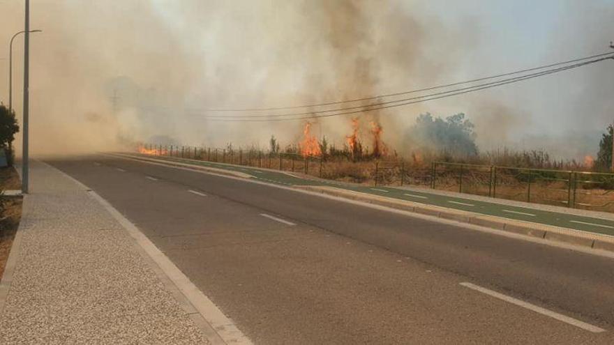 Incendio en un carrizal de Cadrete