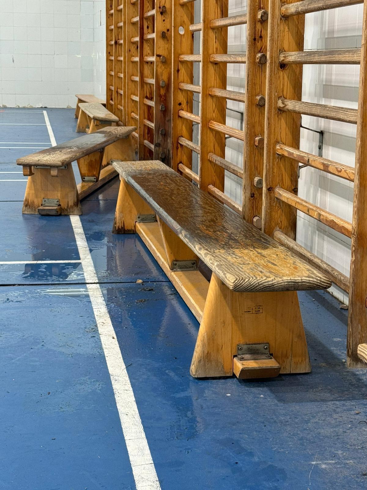El gimnasio, mojado