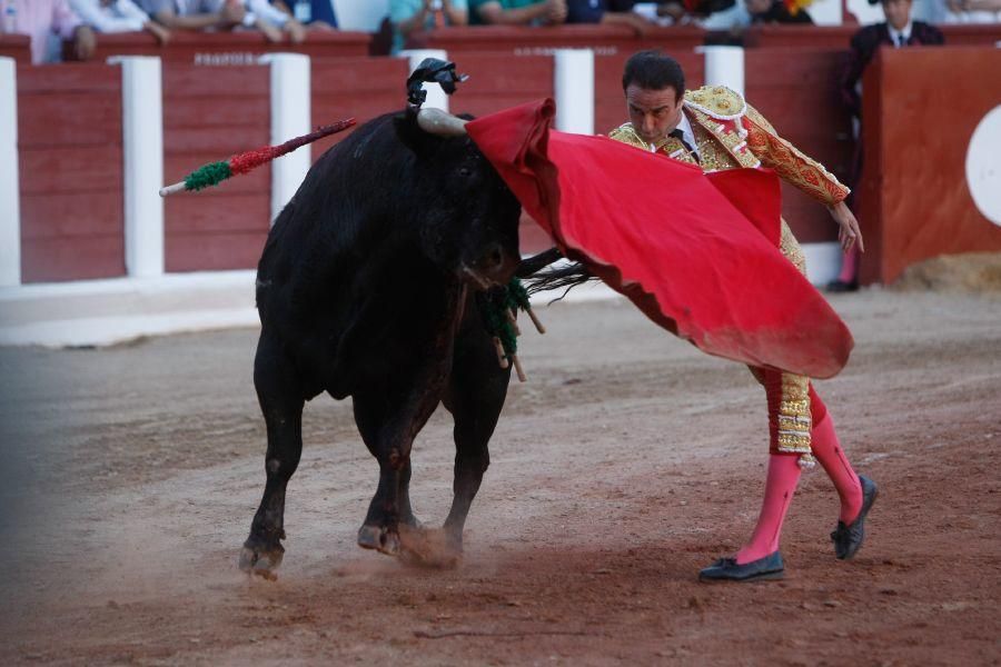 Toros en Zamora