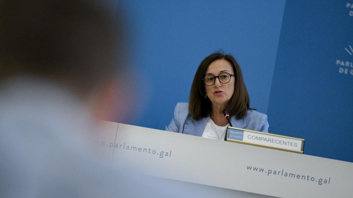 La directora xeral de Calidade Ambiental e Sostibilidade, María José Echevarría, en la comparecencia del viernes