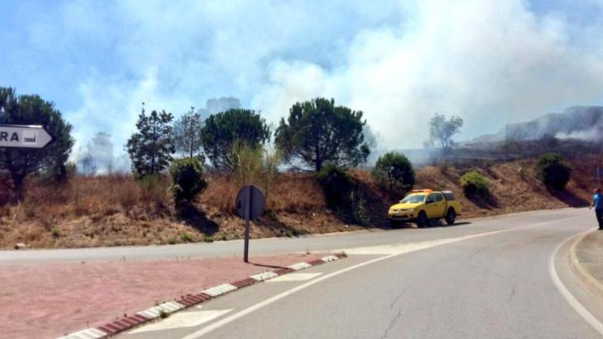 L&#039;incendi va afectar 3.000 metres quadrats de matolls i arbustos