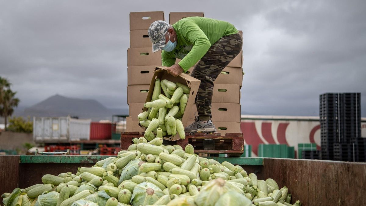 Las empresas agrícolas y ganaderas son las que soportan los mayores costes por el exceso normativo.