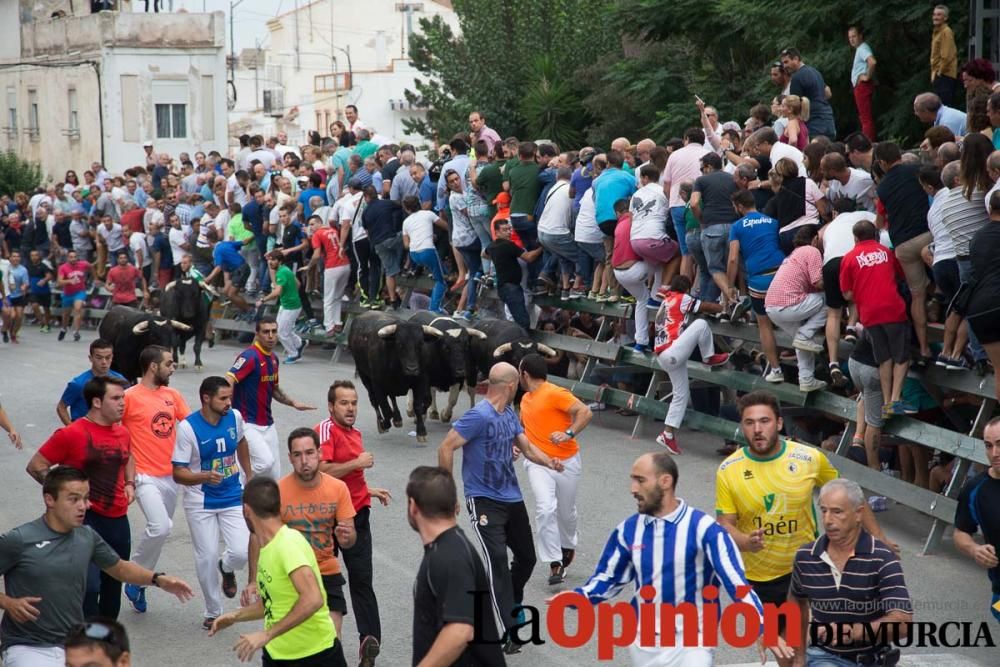 Primer encierro en Calasparra