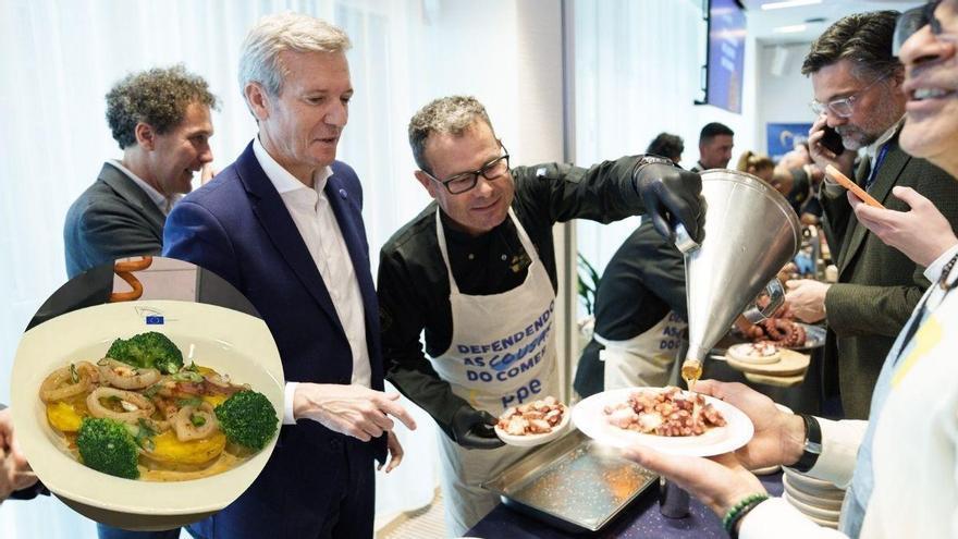 El pulpo a la gallega vuelve al Parlamento Europeo tras el desastre del 'octopus galician-style'