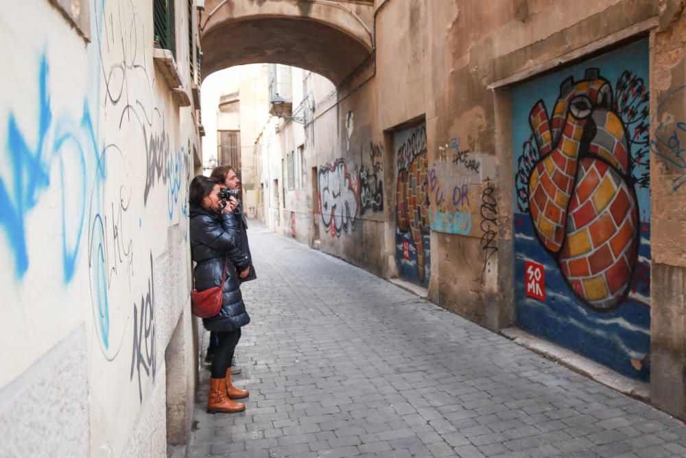 Palma Fotográfica: 400 personas buscan el lado más fotogénico de Ciutat