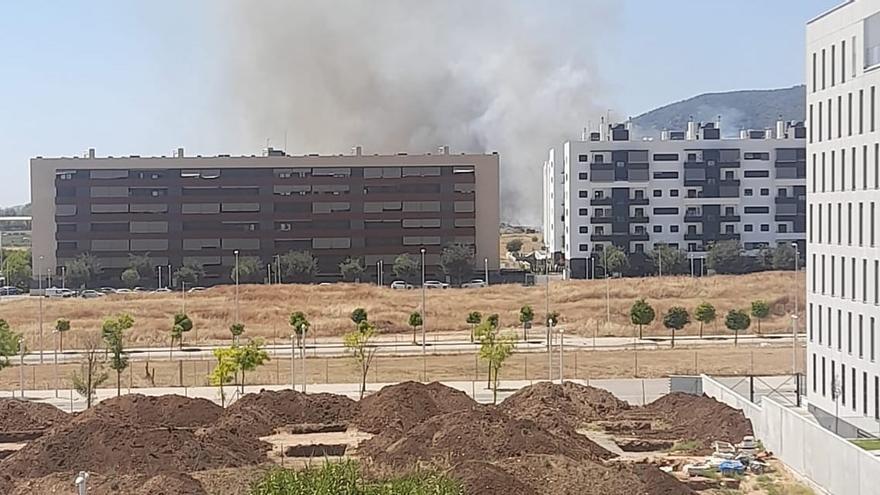 Extinguido el incendio de pastos declarado entre la Huerta de Santa Isabel y Turruñuelos