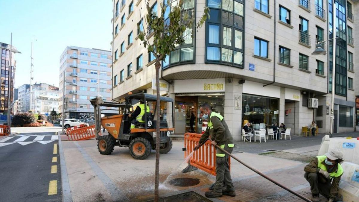 Recta final de la reforma de Loureiro Crespo. La plantación de varios árboles a lo largo de la calle marca la recta final de las largas obras de reforma de Loureiro Crespo, si bien aún quedan varios meses para su conclusión en O Castañal. Además de los árboles, se coloca un monolito en recuerdo de la campaña de promoción del comercio del barrio. | FDV