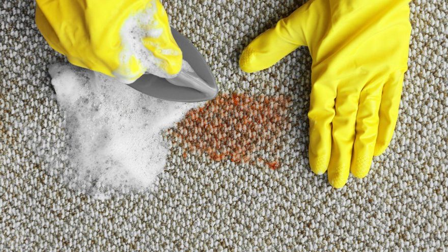 Adiós a las manchas en la alfombra: el truco para limpiarlas dependiendo de su material