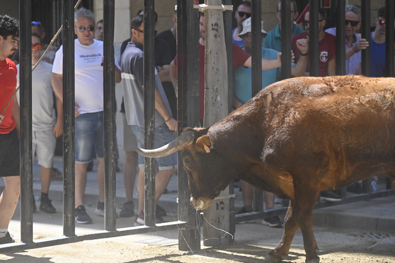 Martes de tradición, toros y fiesta en el Grau por Sant Pere