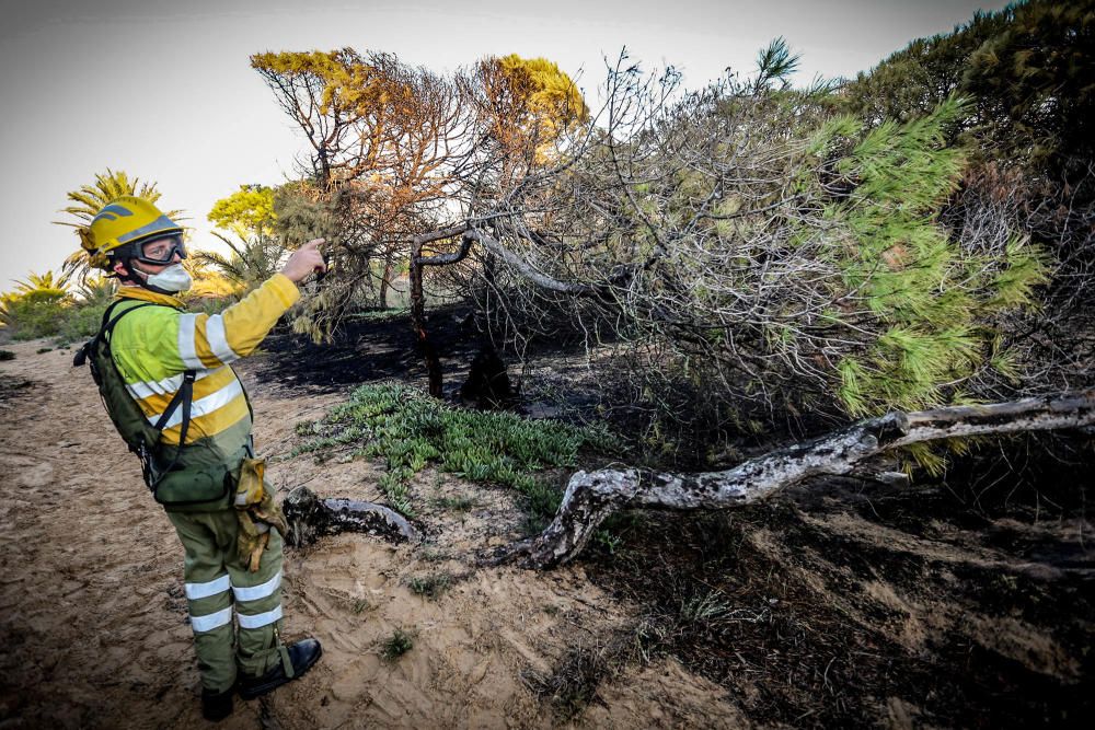 Labores de extinción del nuevo incendio en Guardamar del Segura, el cuarto en diez dias