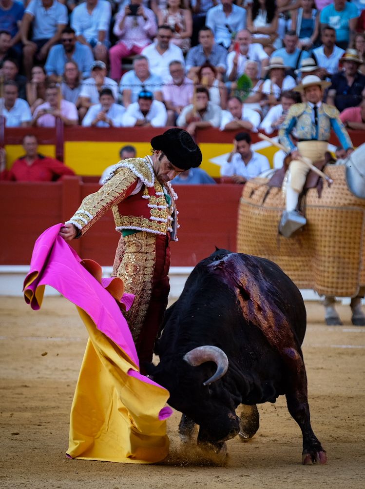 La tauromaquia de José Tomás en Alicante, en imágenes