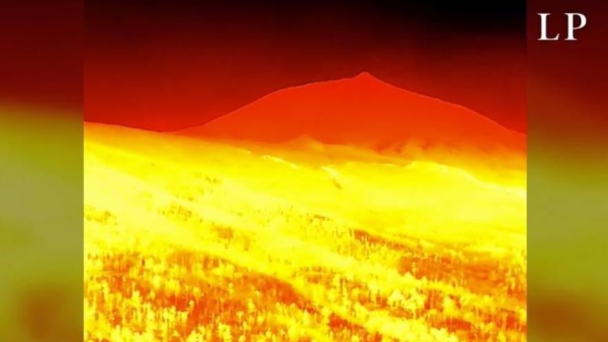 VIDEO | Así se ve el incendio de Tenerife con una cámara térmica