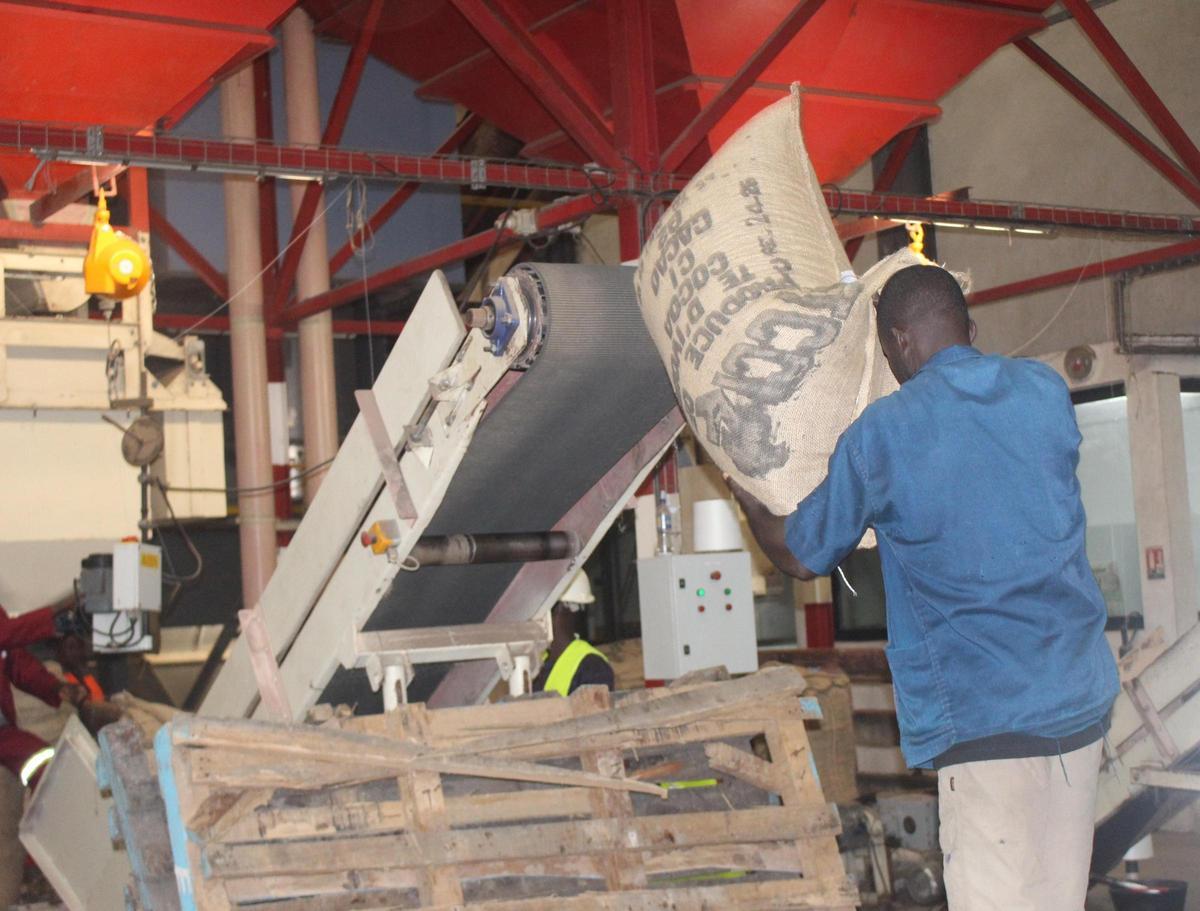 Fábrica de Cargill en el puerto de Abidjan, en Costa de Marfil, donde se procesa el cacao que llega de las cooperativas de agricultores