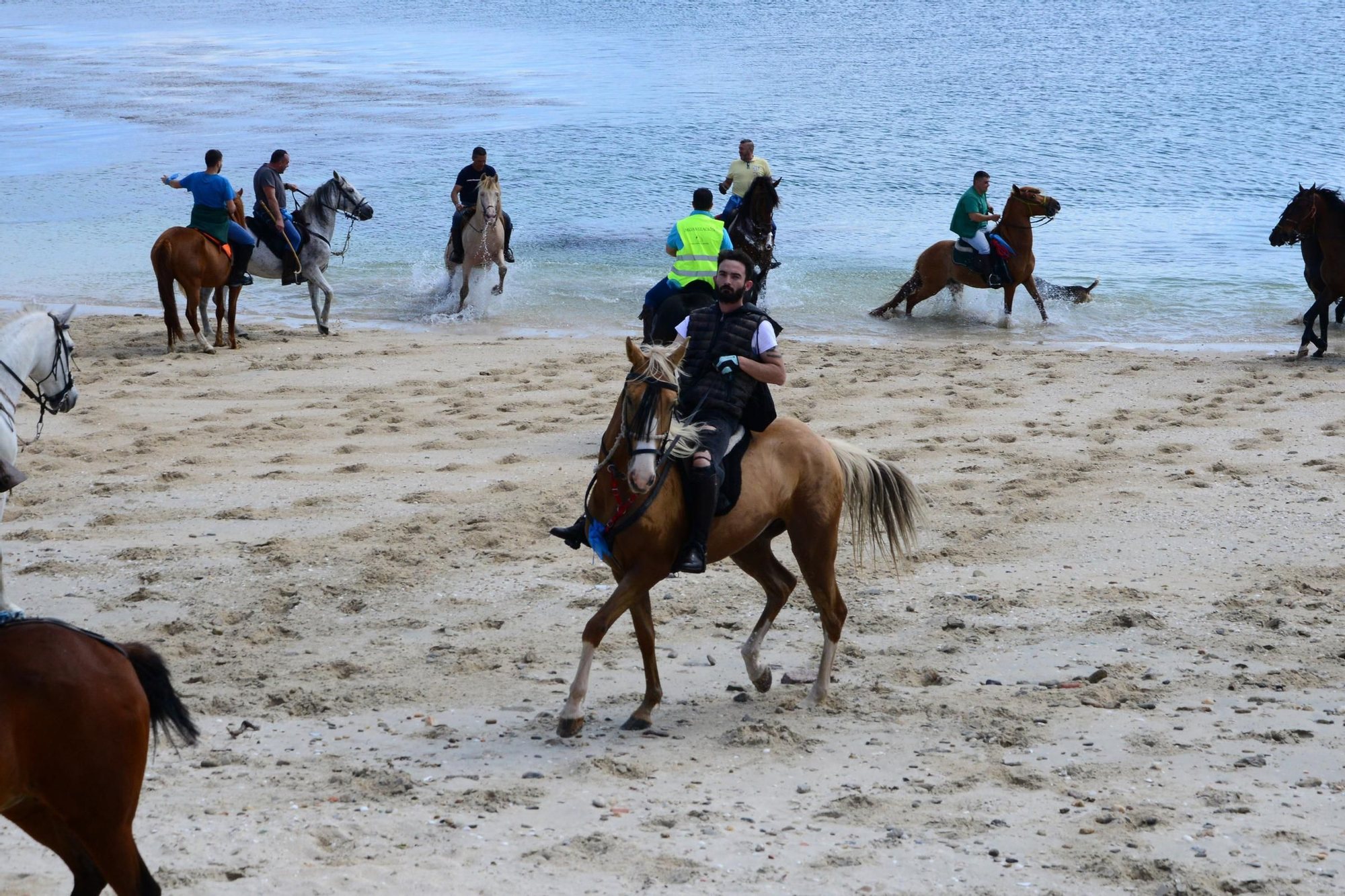 Más de 200 jinetes en la Xuntaza Cabalar de Moaña