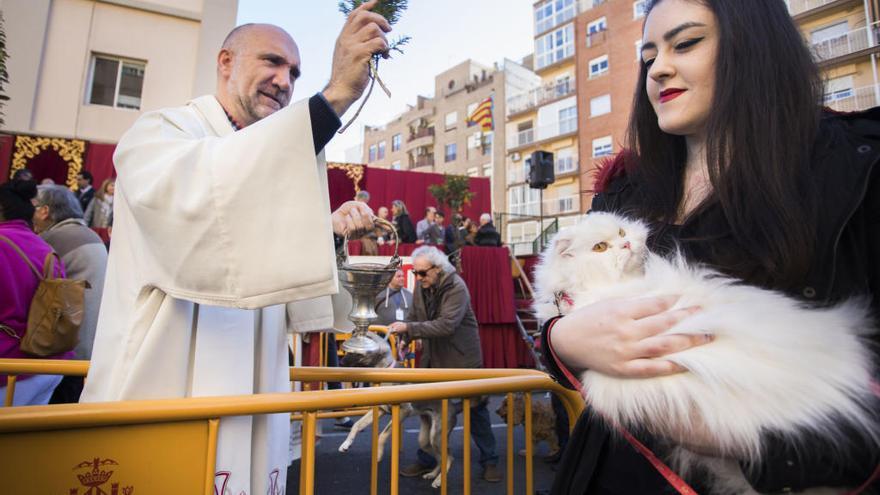 Declaran la fiesta de San Antonio Abad de la calle Sagunto de Interés Turístico provincial