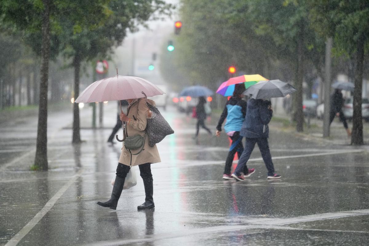Temporal de lluvia y viento - arboles caidos y cubierta del tejado del conservatorio de música levantada