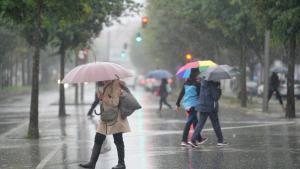 Temporal de lluvia y viento - arboles caidos y cubierta del tejado del conservatorio de música levantada