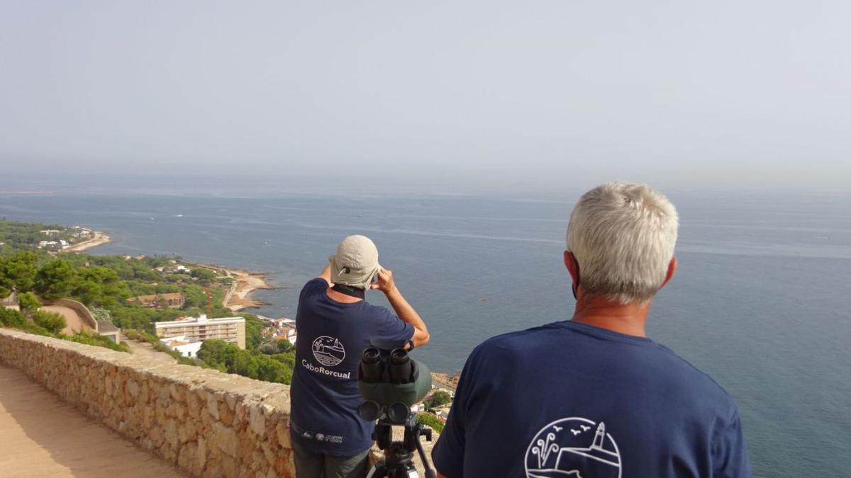 Dos investigadores del proyecto, en el momento en que avistan una ballena en Dénia | CARLOS LÓPEZ