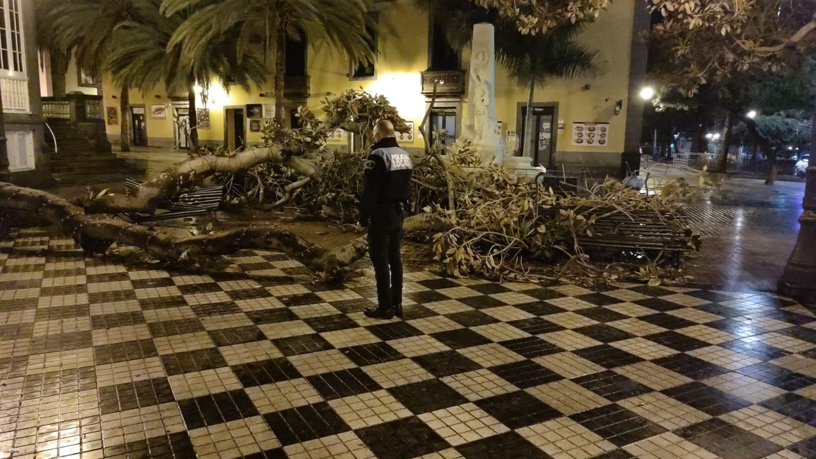 Una rama de gran tamaño cae en la Plaza de las Ranas