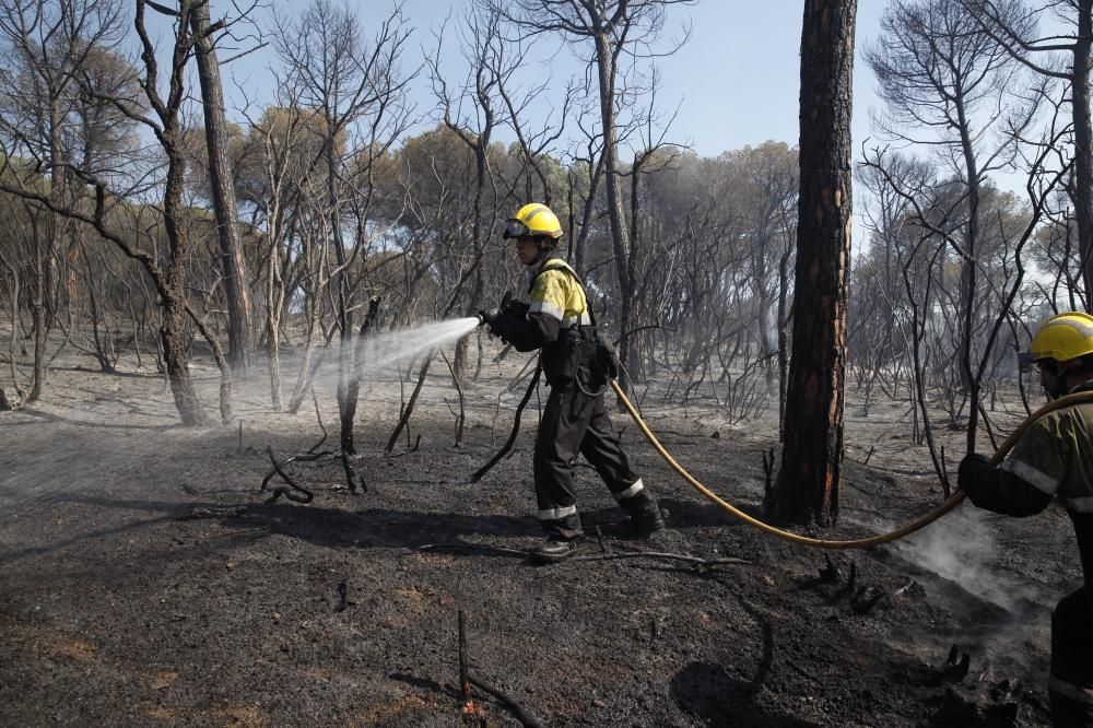 Incendi forestal a Blanes