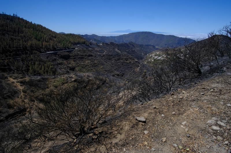 Consecuencias del incendio: De Valleseco a Artenar