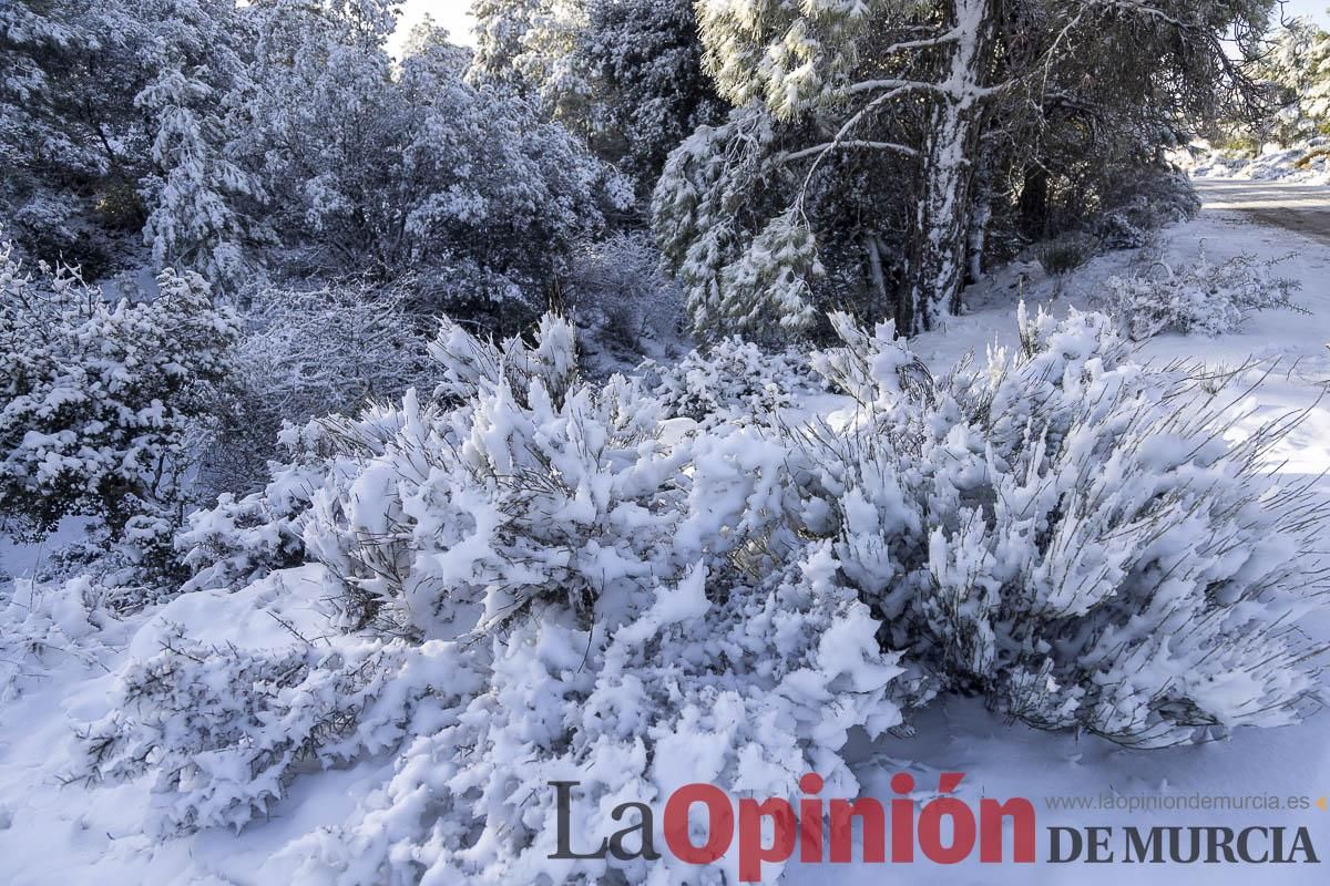 Descubre dónde queda acumulación de nieve en la Región de Murcia