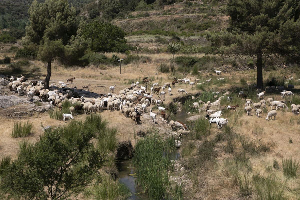 Andilla y Oset: Diez años después del incendio