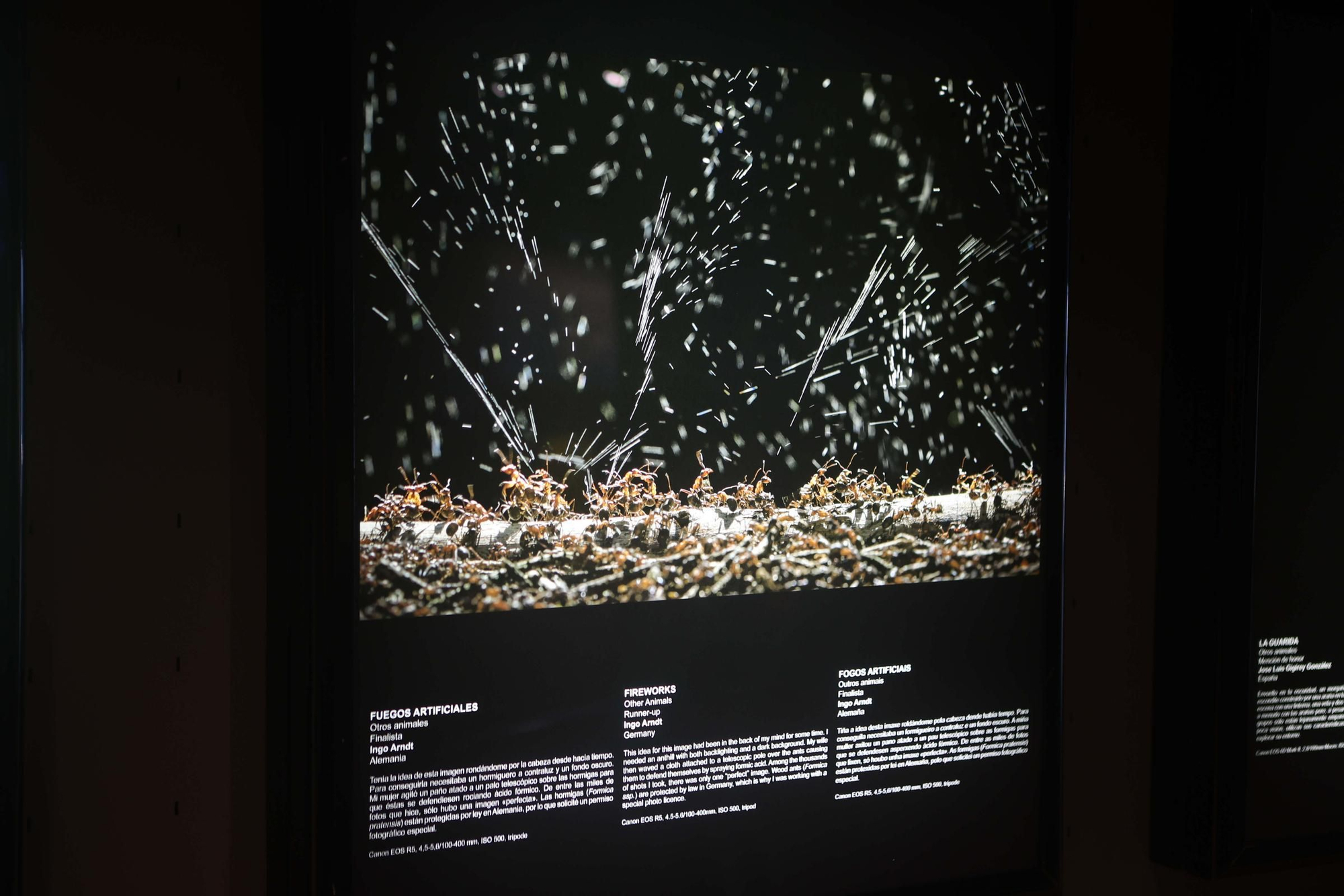 85 fotos forman parte de la exposición 'Fotógrafos na natureza' en el Aquarium