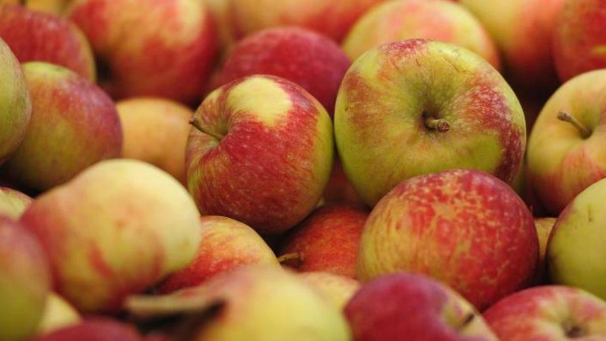 Así es la dieta de la manzana para perder siete kilos en una semana