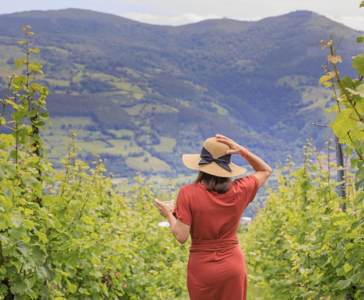 Cantabria. Viñedos y valles verdes. | | NOÉ BARANDA