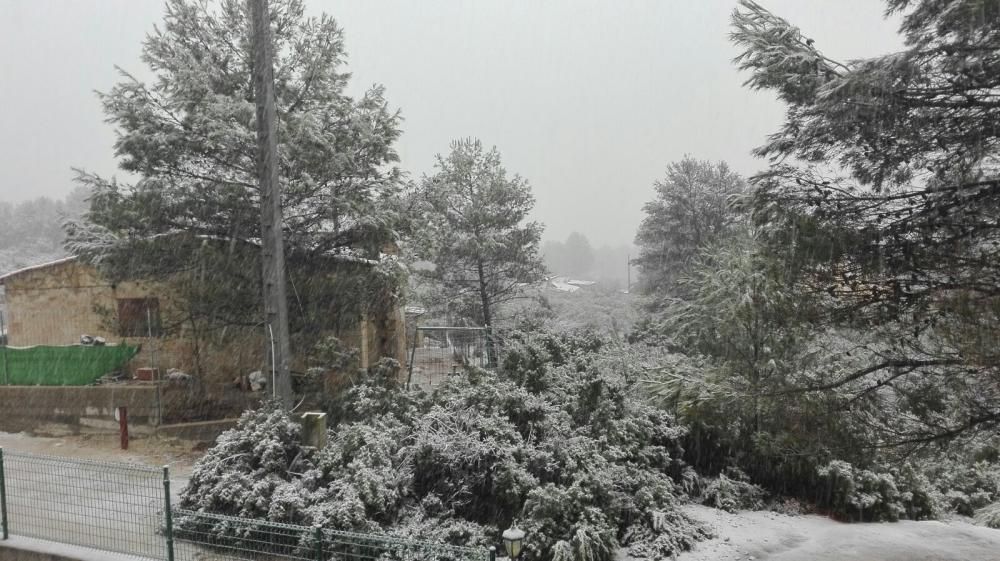 Fotos de la Llacuna, en Villalonga, completamente cubierta de nieve.