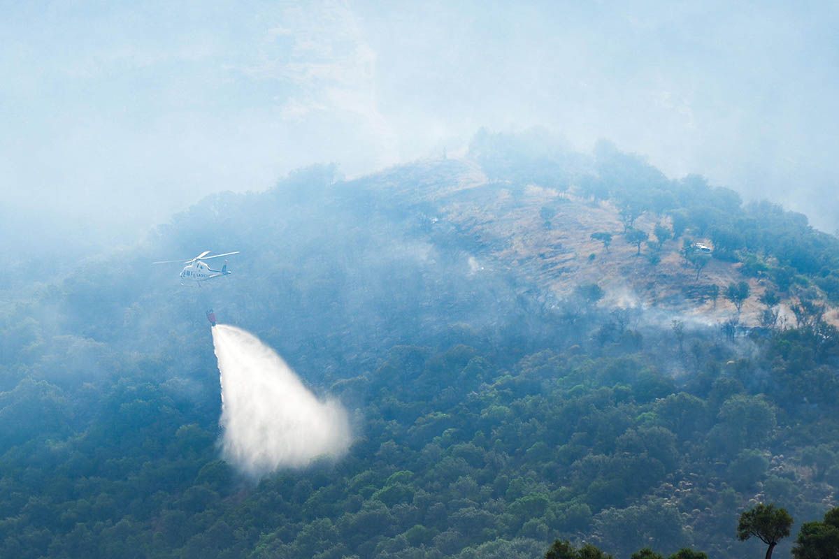 El incendio de Pozoblanco arrasa 54 hectáreas