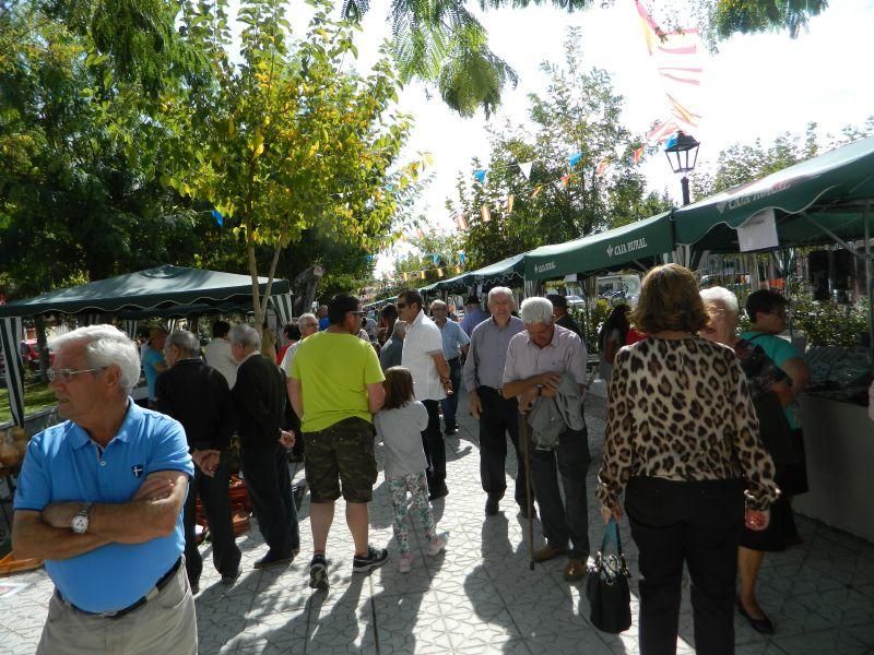 Fiesta de la Vendimia en Moraleja del Vino