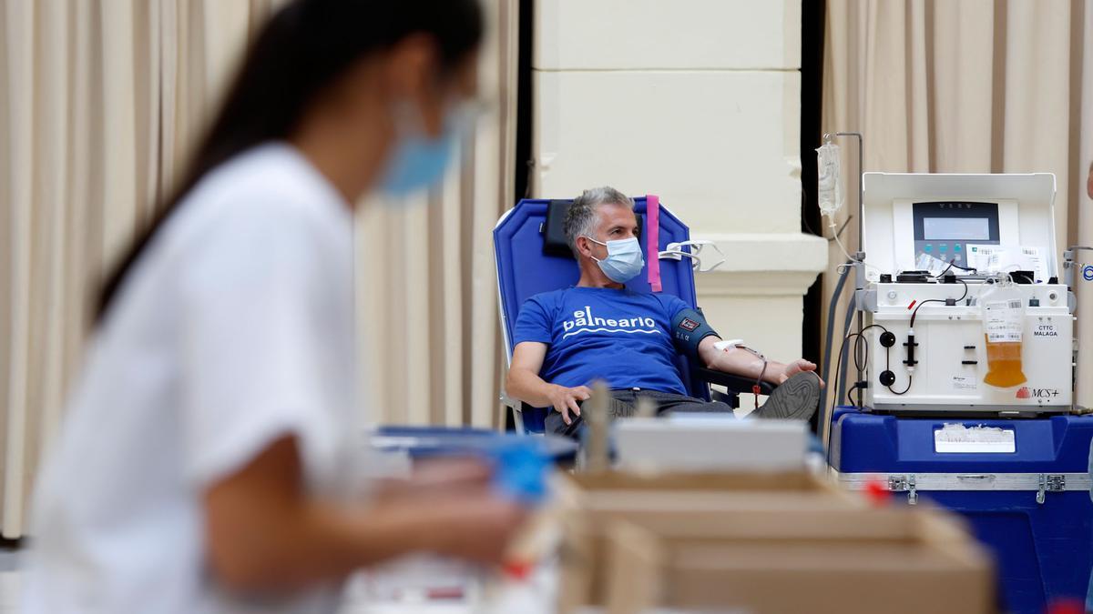 Donación de sangre en el Ayuntamiento de Málaga, en una imagen de archivo.