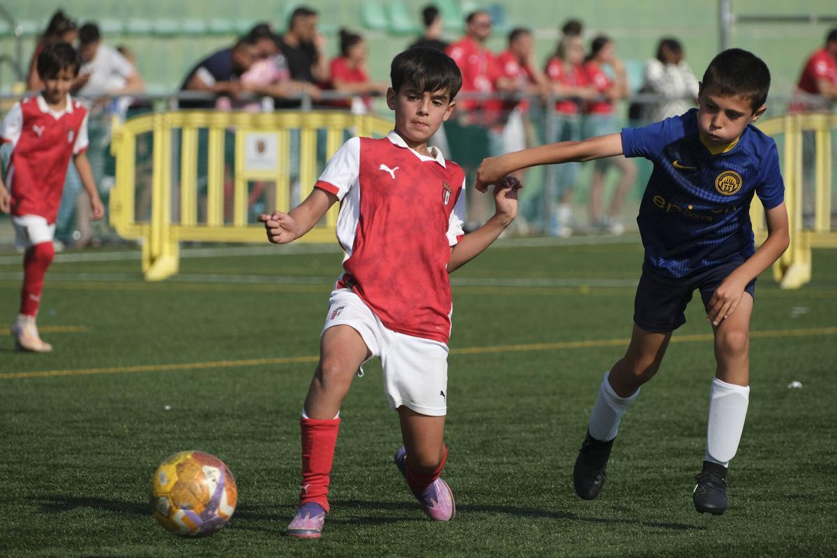 Imatges de la TEA Football Cup 2026 de Sant Fruitós