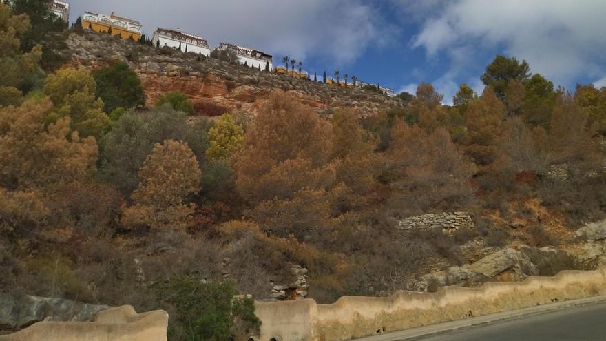 La sequía marchita el paisaje de la Marina Alta: empiezan a morir pinos