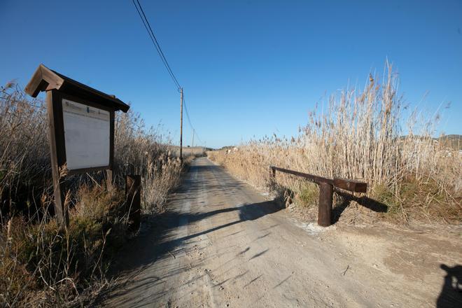 Así están ahora ses Feixes de Talamanca