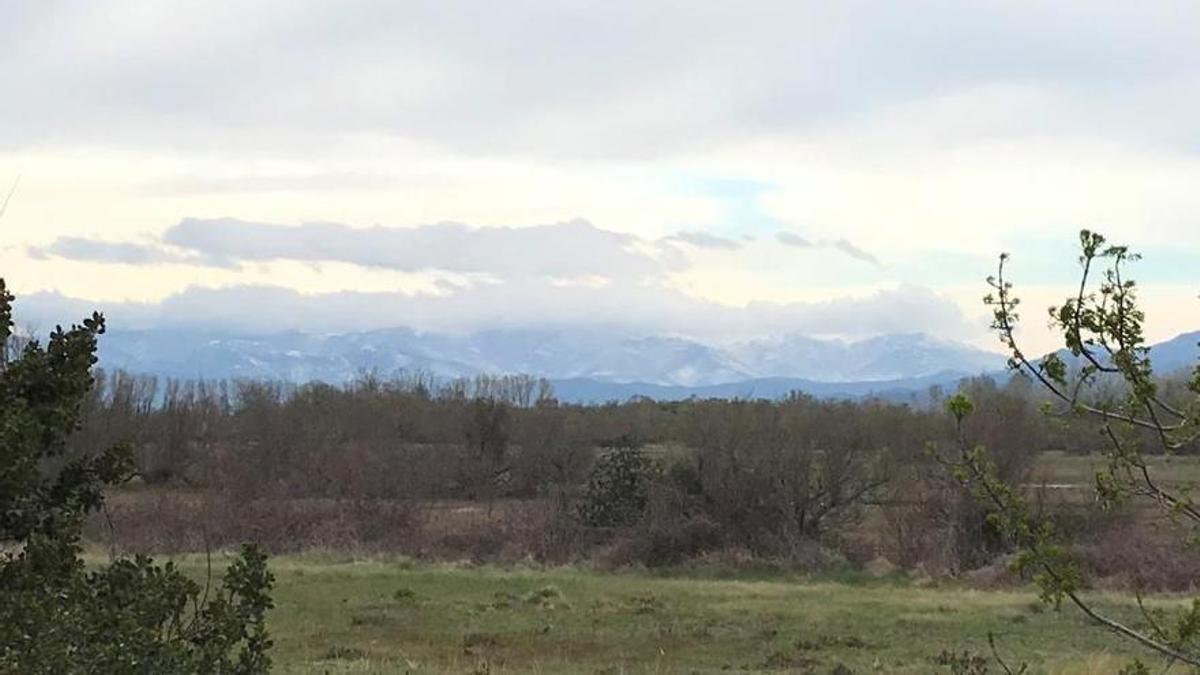 La serra de l'Albera