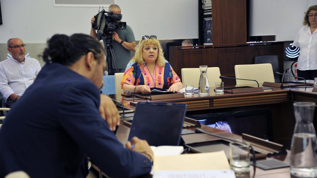 Comisión de Industria en la Asamblea de Extremadura.
