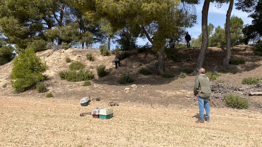 Las sociedades de cazadores pierden socios por el declive de tordos, perdices o liebres