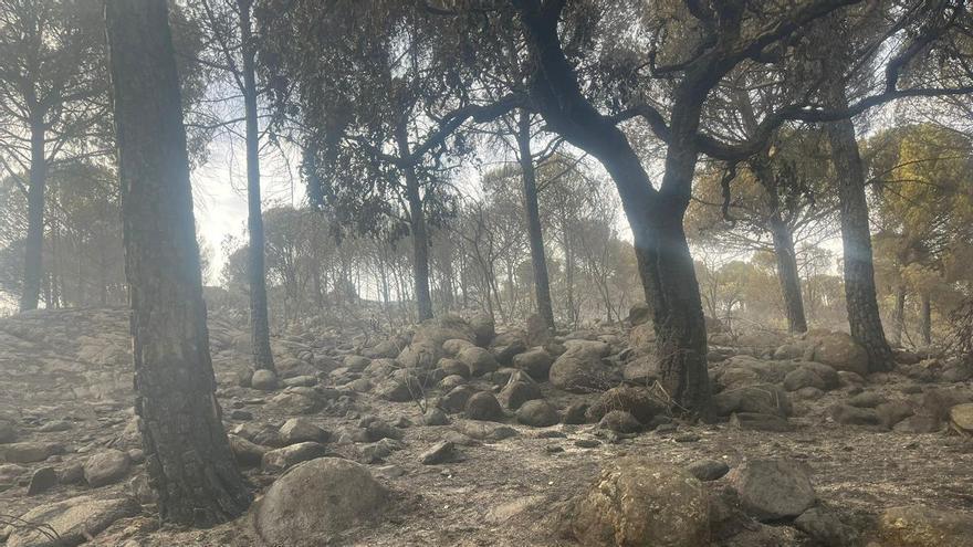 El ayuntamiento de Monesterio agradece la colaboración entre instituciones ante el incendio de El Machado