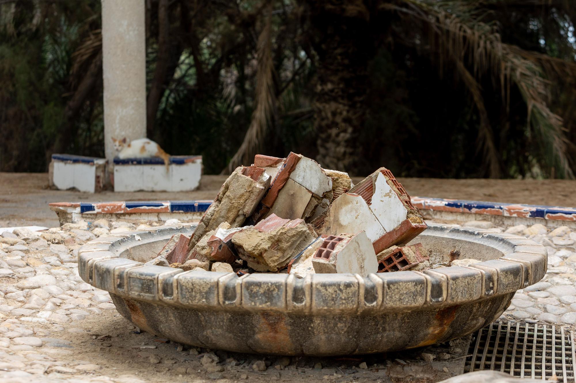 El abandono del Parque El Palmeral de Alicante