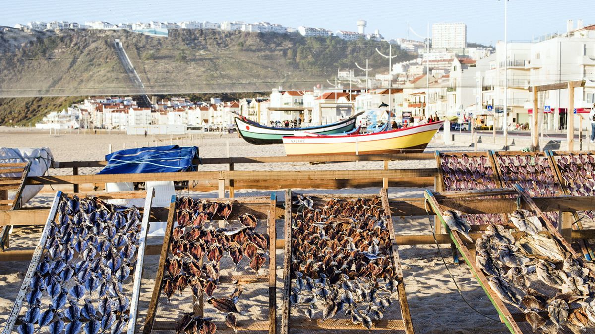 Mucho más que bacalao y pasteles de Belém: la nueva gastronomía portuguesa que conquista el mundo