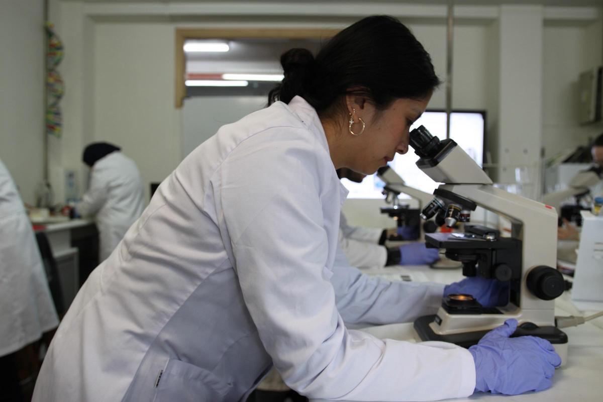 Dos de las alumnas del IES Escultor Juan de Villanueva, en el microscopio